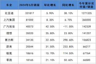 开云app安全